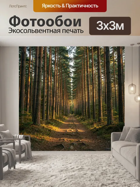Фотообои Сосновая аллея в лучах солнца