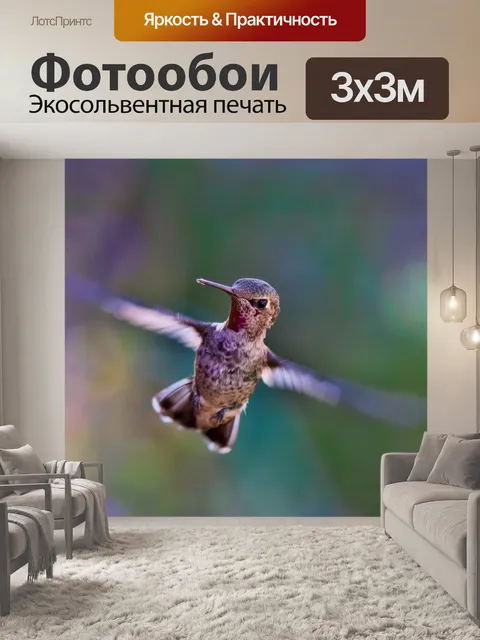 Фотообои Великолепная птица летит, полет