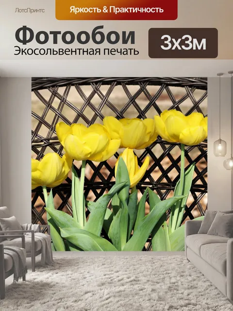 Фотообои Желтые тюльпаны в плетеном кресле