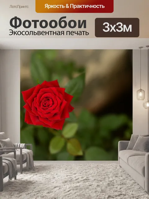 Фотообои Красная роза