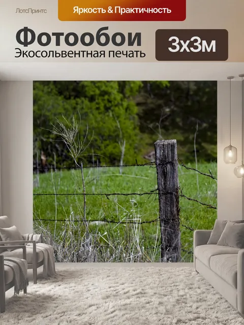 Фотообои Сообщение