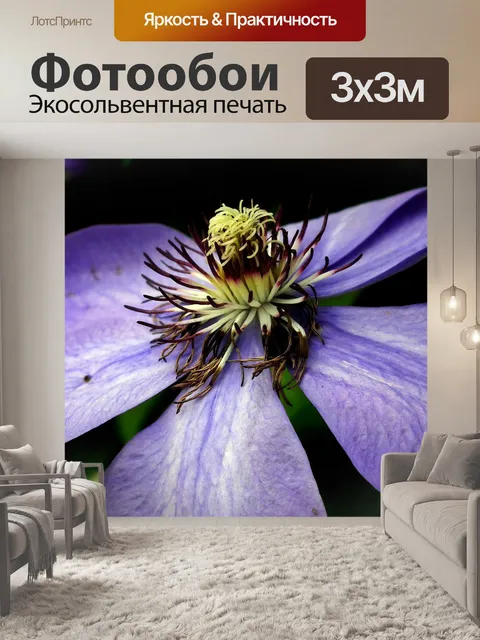 Фотообои Цветок