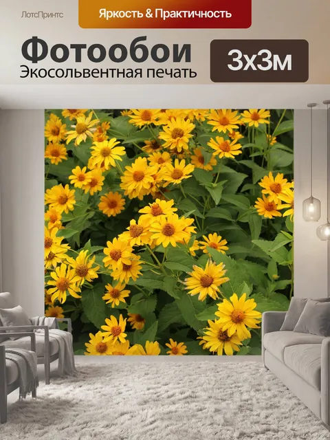 Фотообои Желтый цветок ромашка