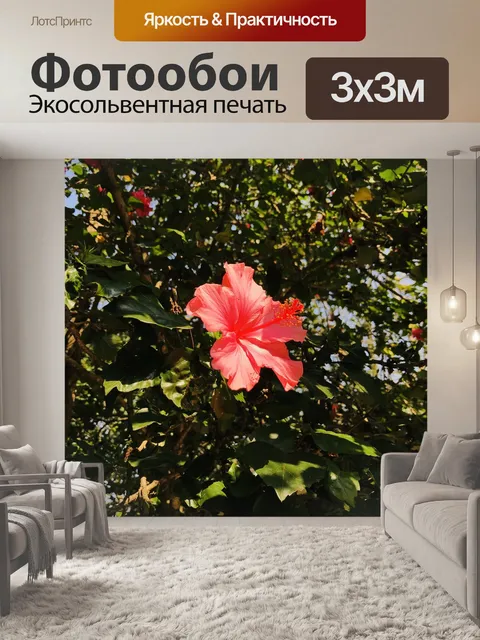 Фотообои Цветы
