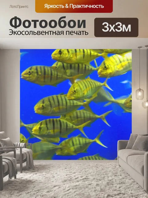 Фотообои Живая рыба Aquarium