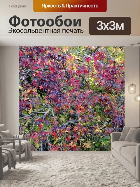 Фотообои Осенние листья