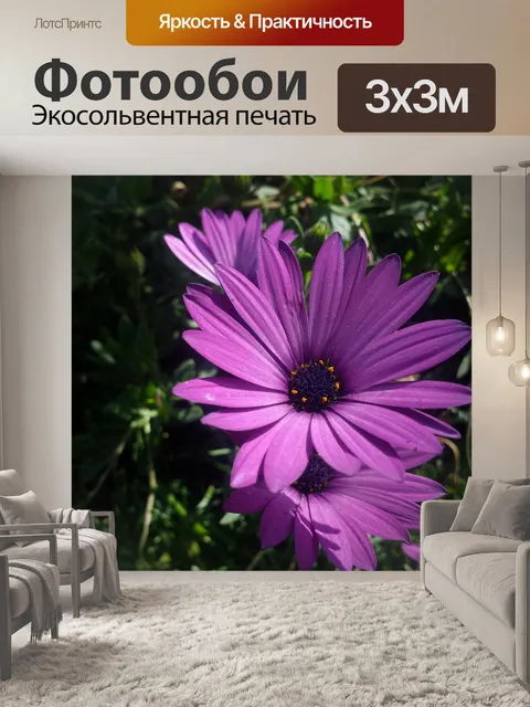 Фотообои Фиолетовый цветок