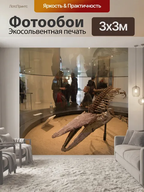 Фотообои Американский музей естественной истории