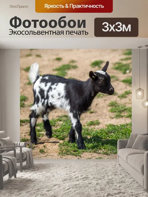 Фотообои козленок