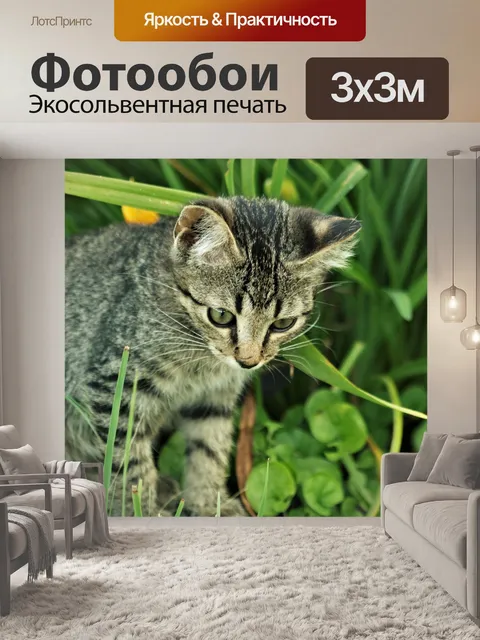 Фотообои Серый котенок в траве 2