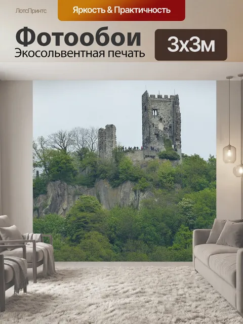Фотообои Рейн