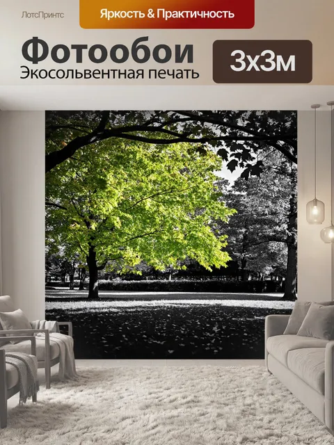 Фотообои зеленые в стиле черно-белый, показывающие падающие листья в осеннем парке