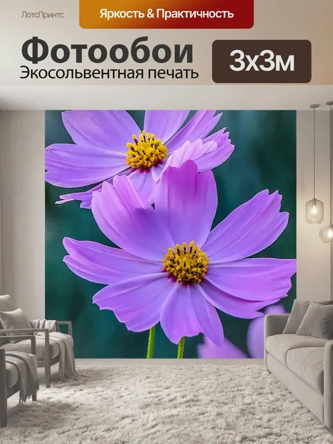 Фотообои Космос