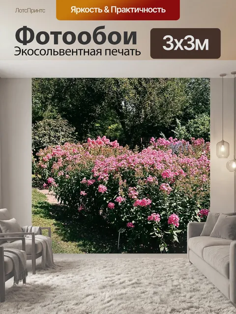 Фотообои Ботанический сад