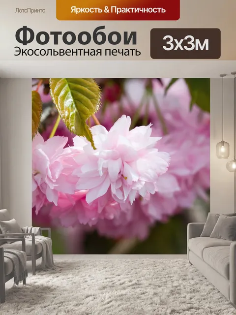 Фотообои Розовый цвет Цветы