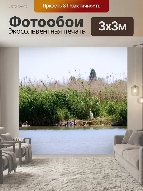 Фотообои Дикая природа на берегу озера