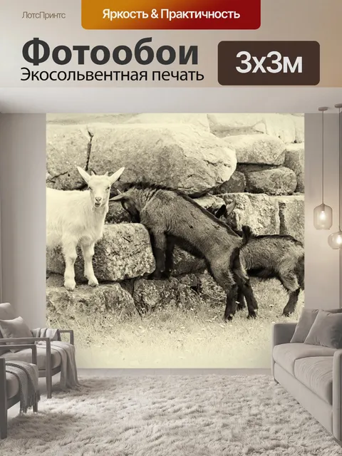 Фотообои Горные козы