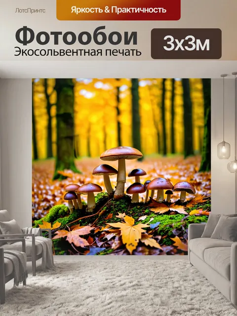 Фотообои грибы грибное разнообразие