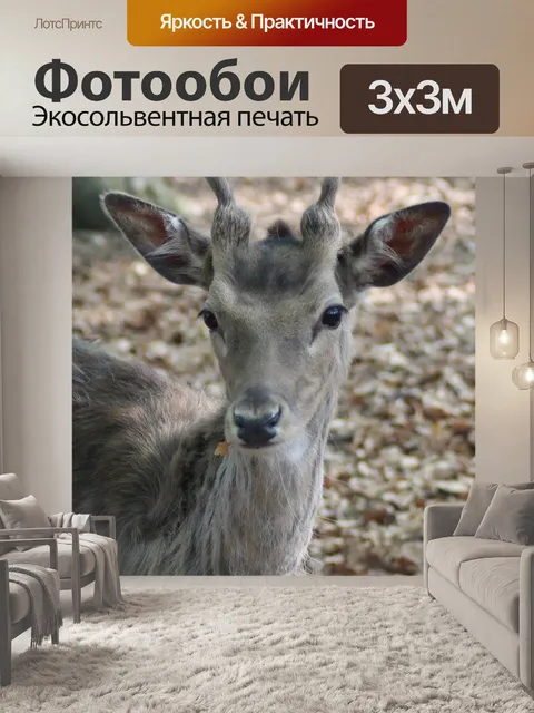 Фотообои Олень