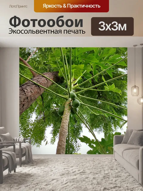Фотообои Лес