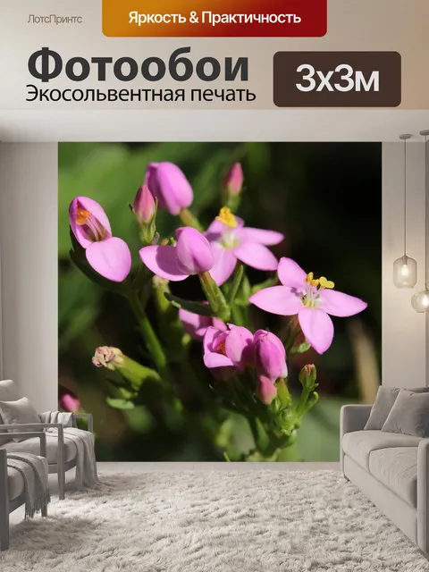 Фотообои Золототысячник