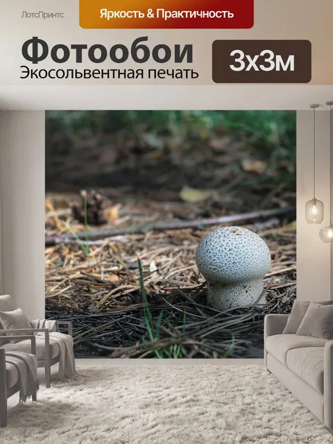 Фотообои Дождевик
