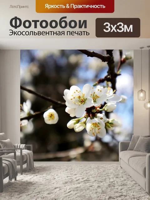 Фотообои Шмель