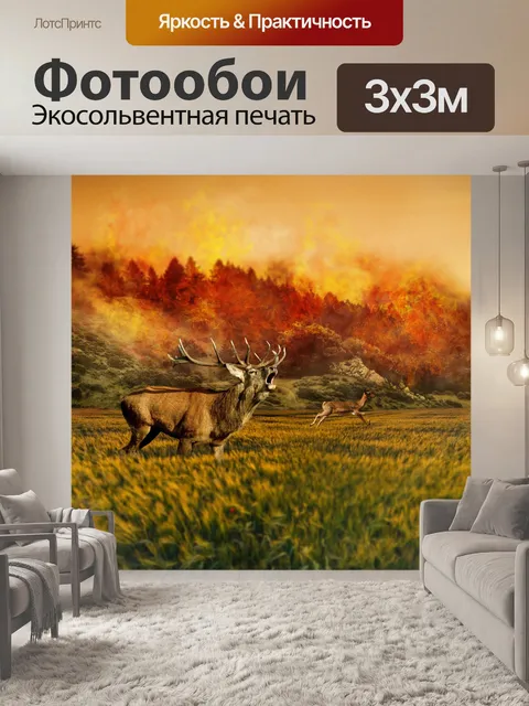 Фотообои Олень