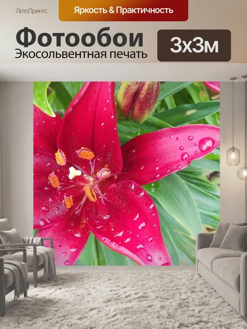 Фотообои Гранд Айрис в красном