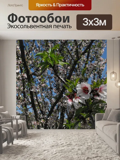 Фотообои Расцветает
