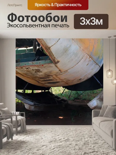 Фотообои вид на брюхо разбившегося Б-34