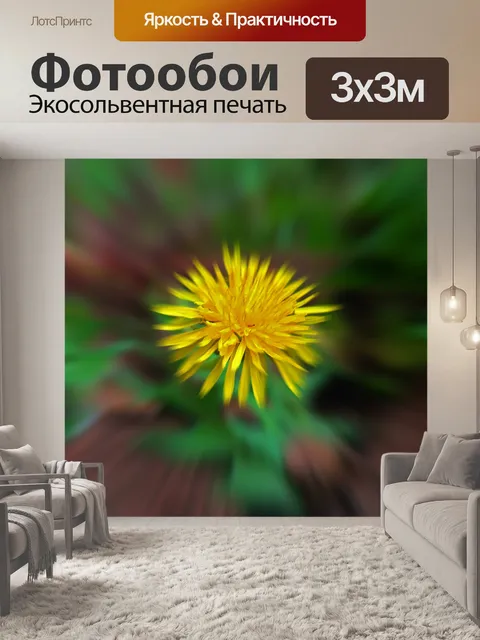 Фотообои желтый зум лопнул цветок одуванчика