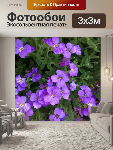 Фотообои Цветок