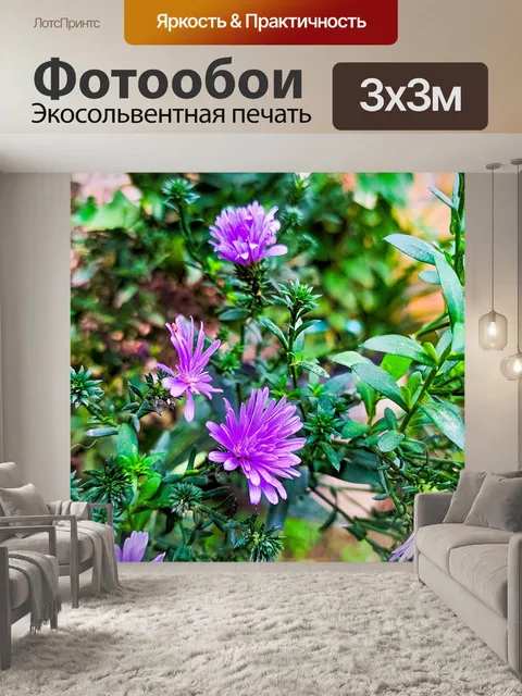 Фотообои Цветок
