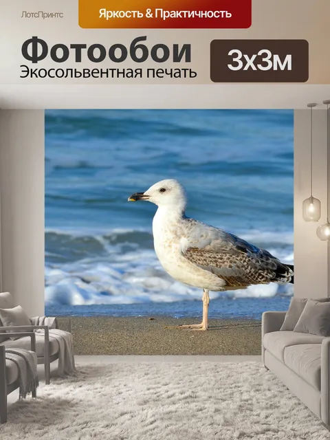 Фотообои Чайка и море