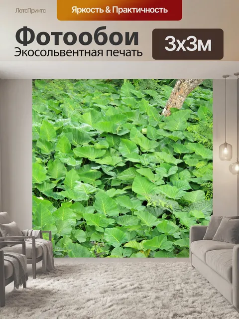 Фотообои Листья