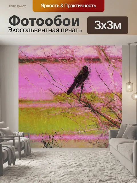 Фотообои черная птица
