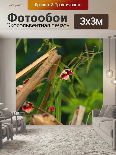 Фотообои Цветы