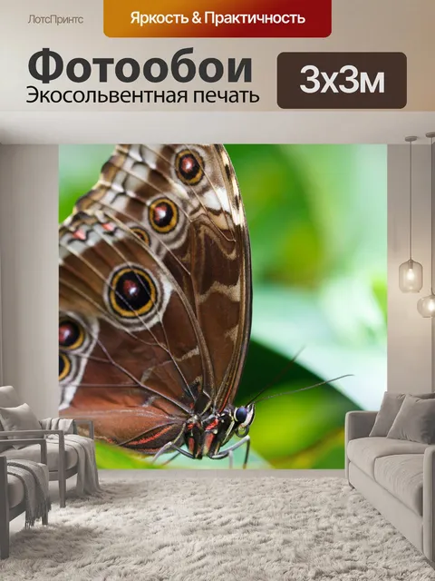 Фотообои Синий Morpho Butterfly