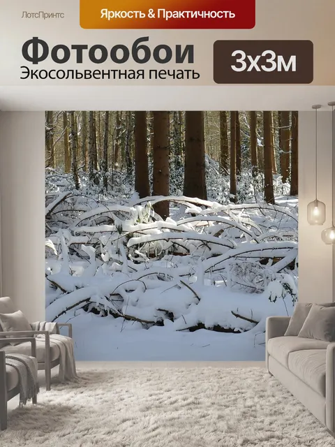 Фотообои Лес