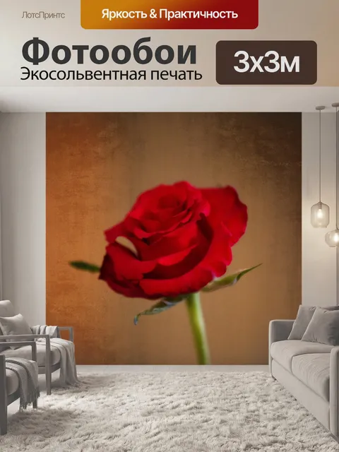 Фотообои Роза