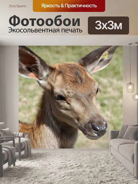 Фотообои Замша