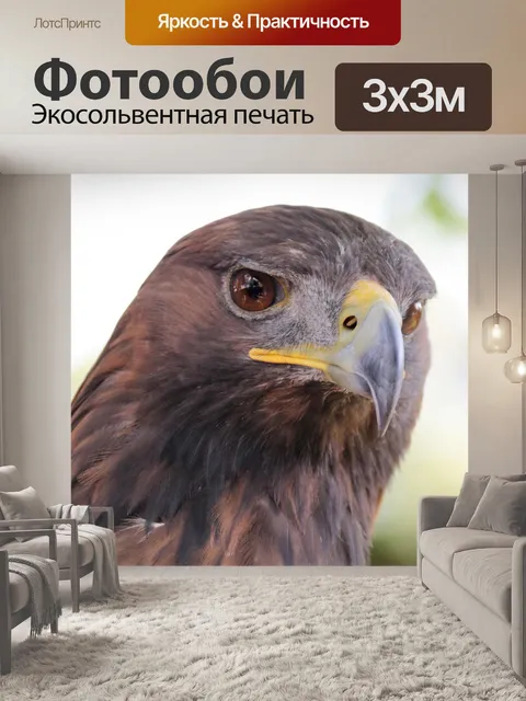 Фотообои Золотой орёл