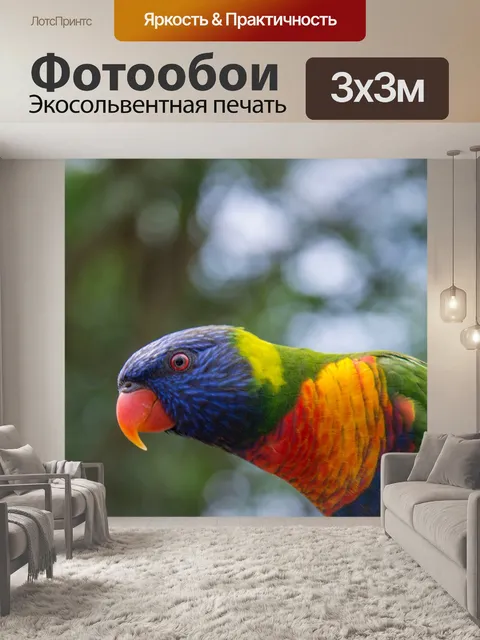 Фотообои Красивое животное
