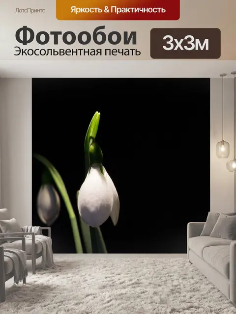 Фотообои Подснежник