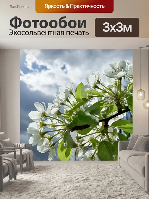 Фотообои Цветы