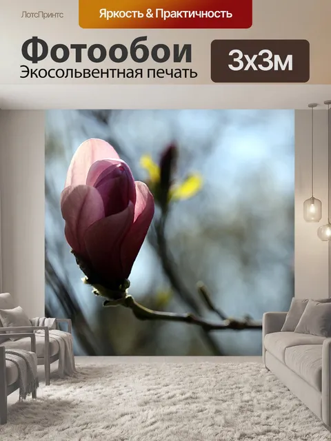 Фотообои Магнолия