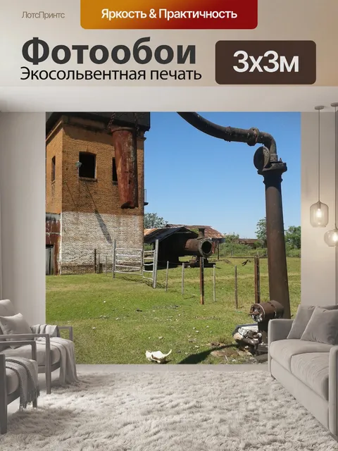 Фотообои Бак