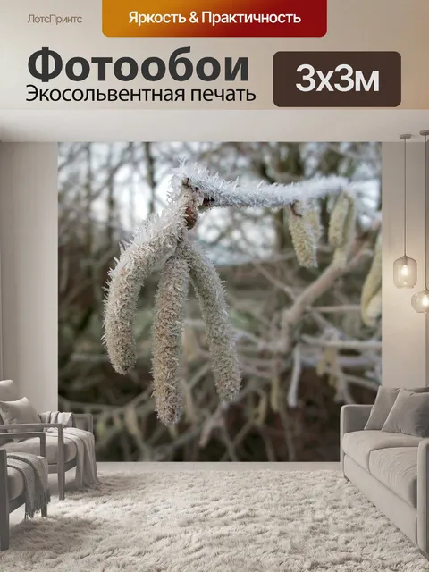 Фотообои Куст орешника