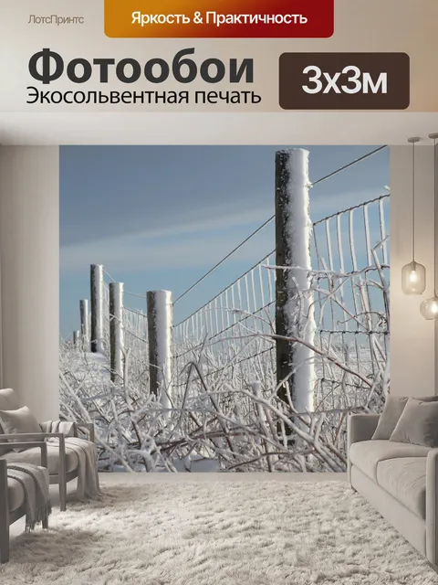 Фотообои Зима